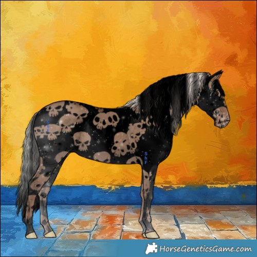 Horse Color:Void Silver Grullo Sabino Appaloosa 