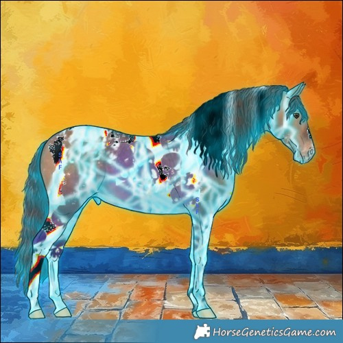 Horse Color:Thunderstruck Bay Dun Sabino Tobiano Appaloosa 