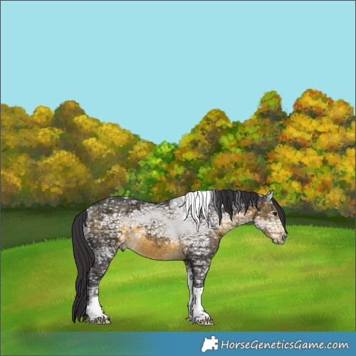 Horse Color:Buckskin Ice Tobiano