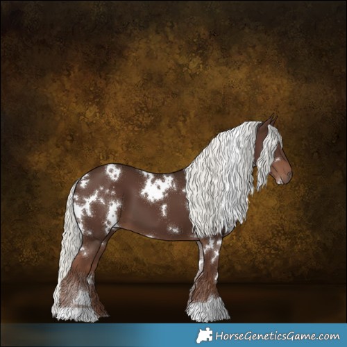 Horse Color:White Spotted Liver Chestnut Mushroom