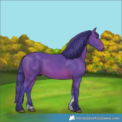 Horse Color:Watercolor Brown Sabino Rabicano
