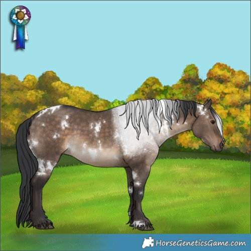 Horse Color:White Spotted Brown Dun