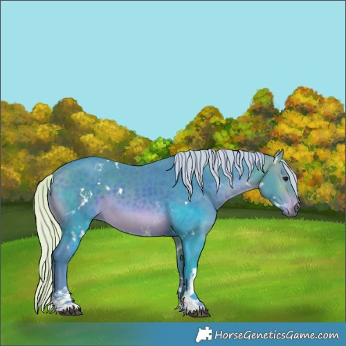 Horse Color:Watercolor White Spotted Silver Brown 