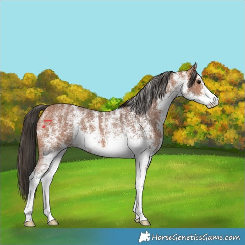 Horse Color:Powder White White Spotted Bay 