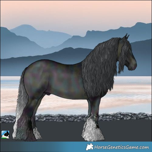 Horse Color:Midnight Brown Chinchilla Onyx Sabino 