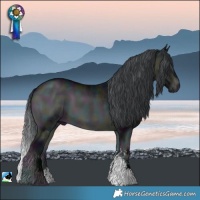 Horse Color:Midnight Brown Chinchilla Onyx Sabino