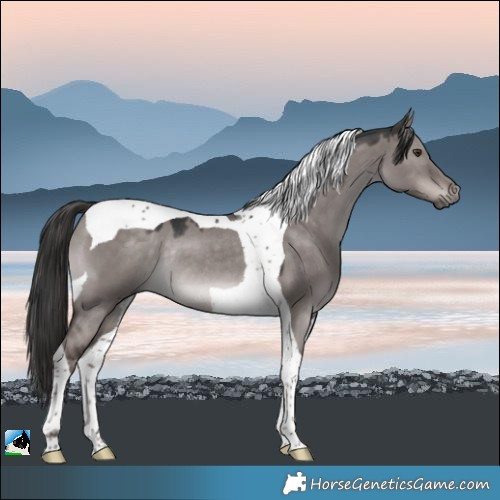 Horse Color:Platinum Liver Red Dun Tobiano Rabicano 