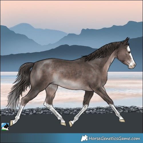 Horse Color:Platinum Liver Chestnut Splash