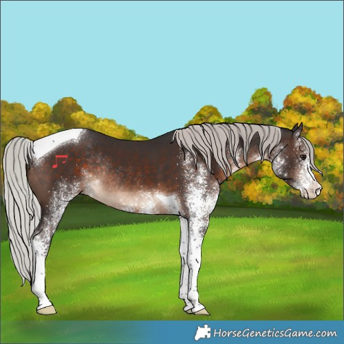 Horse Color:White Spotted Silver Brown Tobiano Rabicano 