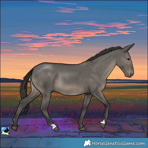 Horse Color:Grullo Brindle