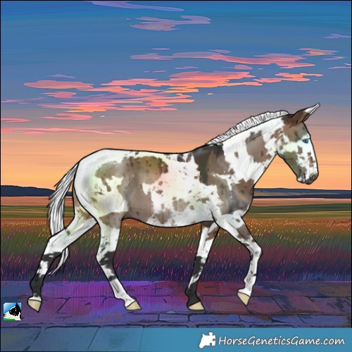 Horse Color:Brown Dun Harlequin Merle Brindle 