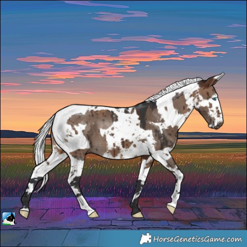 Horse Color:Brown Dun Harlequin Merle Brindle