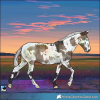 Horse Color:Brown Dun Harlequin Merle Brindle 