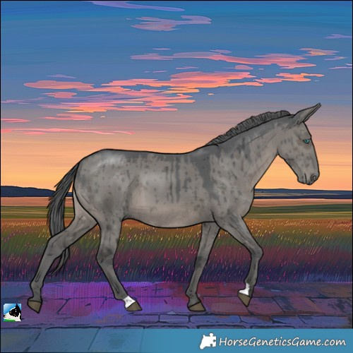 Horse Color:Grullo Merle Brindle 