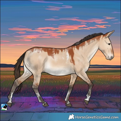 Horse Color:Powder White Bay Dun Rabicano