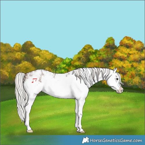 Horse Color:White Spotted Silver Brown