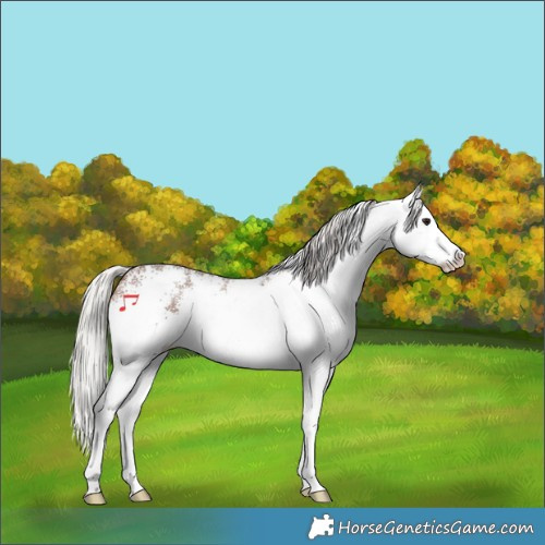 Horse Color:White Spotted Silver Brown 
