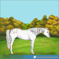 Horse Color:White Spotted Silver Brown