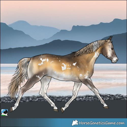 Horse Color:White Spotted Chocolate Palomino Onyx Mushroom
