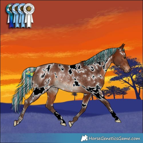 Horse Color:Painted White Spotted Silver Bay Rabicano