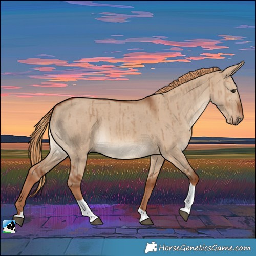 Horse Color:Red Dun Tobiano Rabicano Brindle 