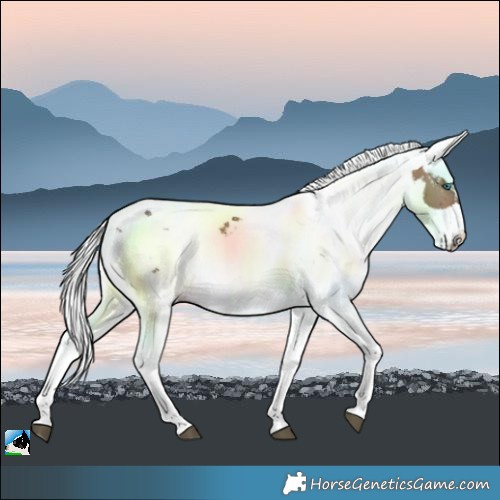 Horse Color:Bay Dun Harlequin Merle Sabino Brindle
