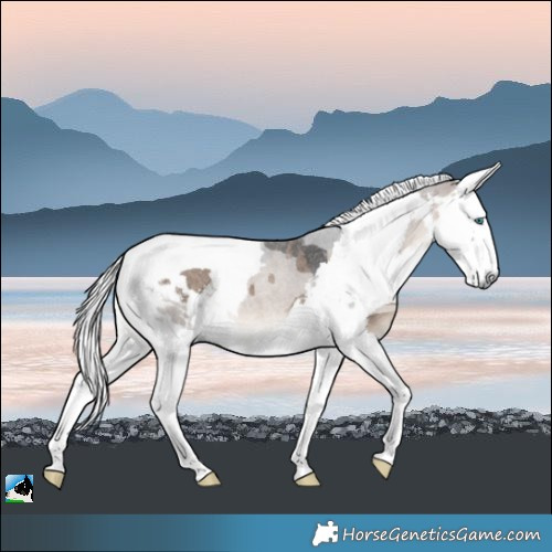 Horse Color:Bay Roan Dun Merle 