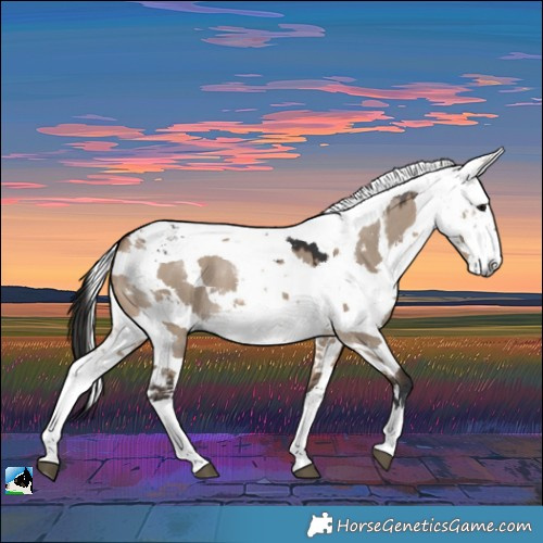 Horse Color:Brown Dun Harlequin Merle