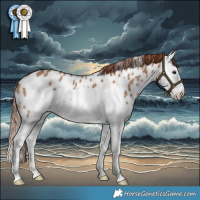 Horse Color:Red Dun Splash Frame Near Leopard
