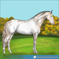 Horse Color:White Spotted Perlino Frame