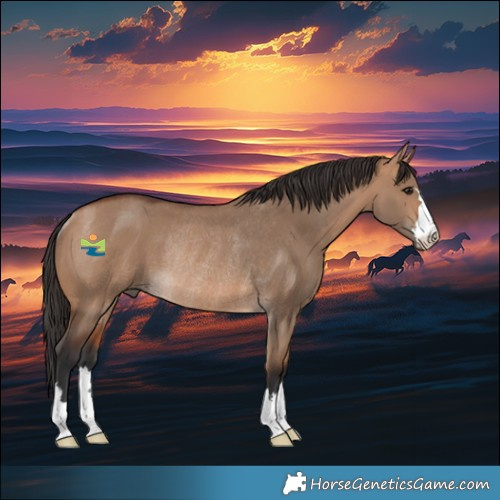 Horse Color:Bay Dun Rabicano 