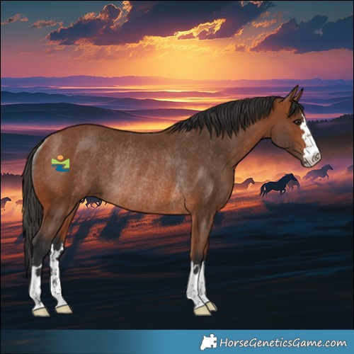 Horse Color:Bay Rabicano 
