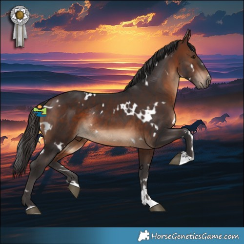 Horse Color:White Spotted Brown Rabicano 