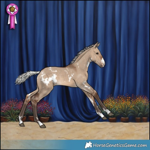 Horse Color:White Spotted Silver Brown Dun 