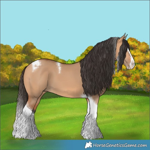 Horse Color:Bay Dun Splash Tobiano 