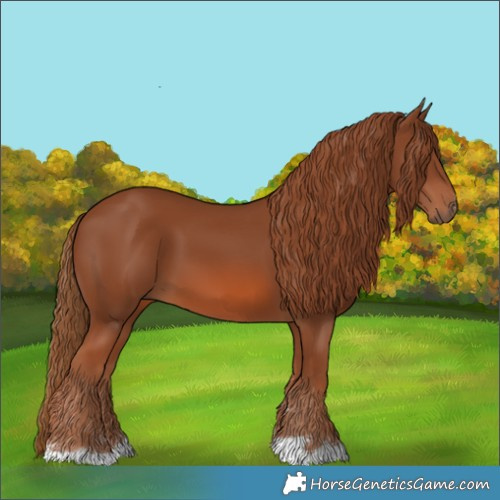 Horse Color:Chestnut 