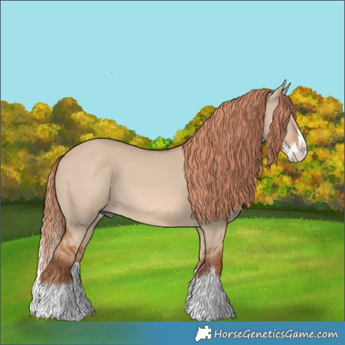 Horse Color:Red Dun Splash