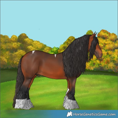 Horse Color:Bay Tobiano