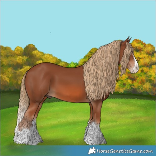 Horse Color:Chestnut Splash