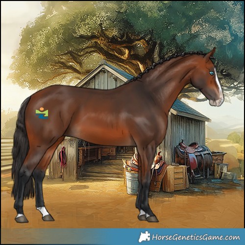 Horse Color:Bay Splash 
