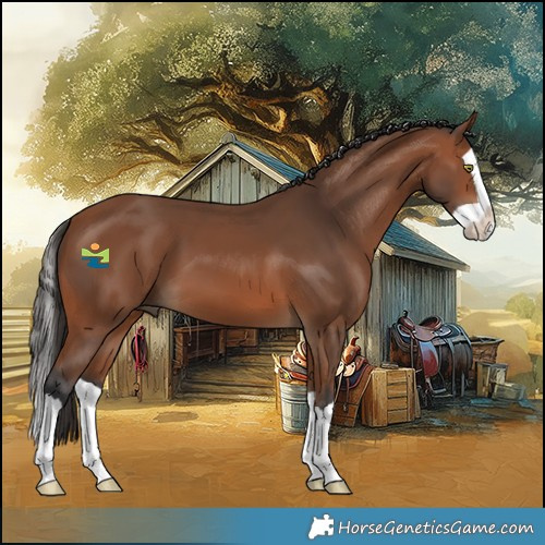 Horse Color:Bay Splash 