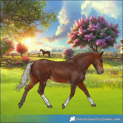 Horse Color:Silver Bay Tobiano 