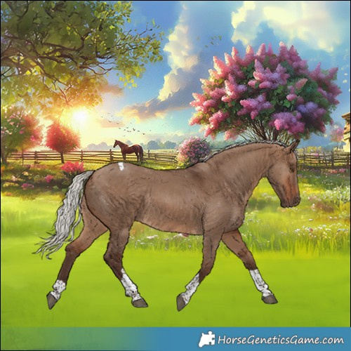 Horse Color:Silver Brown Dun Tobiano Rabicano 