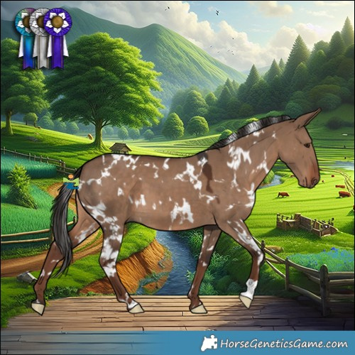 Horse Color:White Spotted Liver Red Dun 