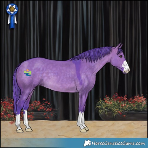 Horse Color:Watercolor Brown Dun