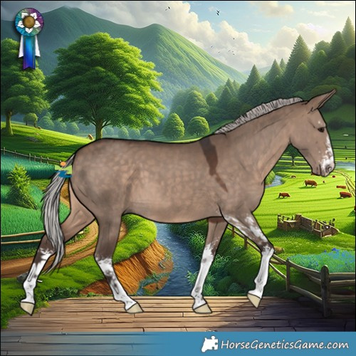 Horse Color:Silver Brown Dun Sabino