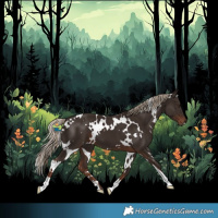 Horse Color:White Spotted Liver Chestnut 