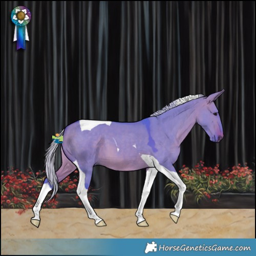 Horse Color:Watercolor Silver Brown Dun Tobiano