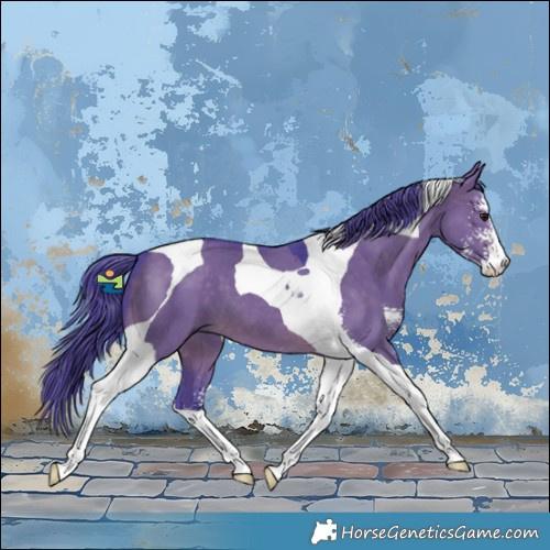 Horse Color:Watercolor Brown Dun Sabino Tobiano 