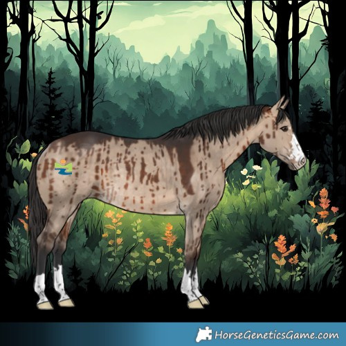 Horse Color:Bay Dun Rabicano Brindle 